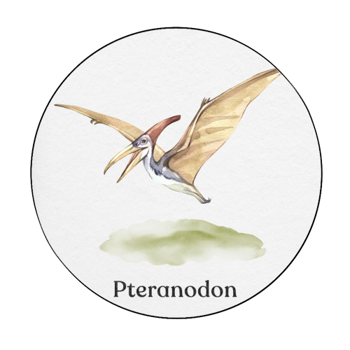 Pteranodon - Circle Sticker by Gal Design