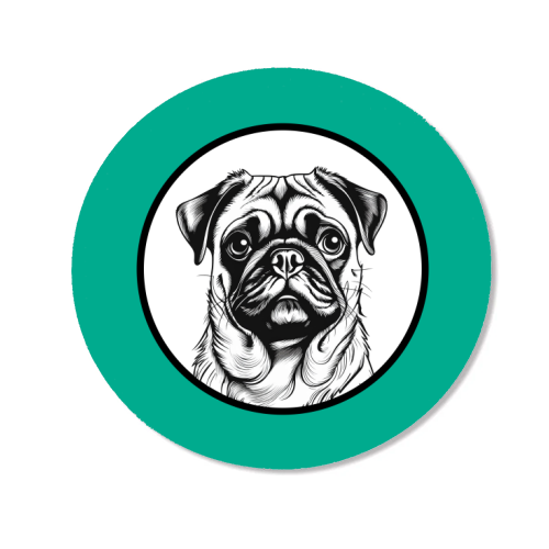 Pug Cameo Portrait (Teal) - Magnet by Adam Regester
