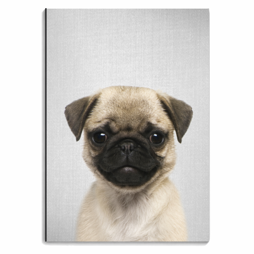 Pug Puppy - Colorful - personalised A4, A5, A6 notebook by Gal Design