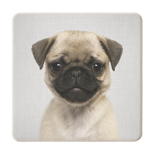 Pug Puppy - Colorful - personalised beer coaster by Gal Design