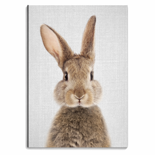 Rabbit - Colorful - personalised A4, A5, A6 notebook by Gal Design