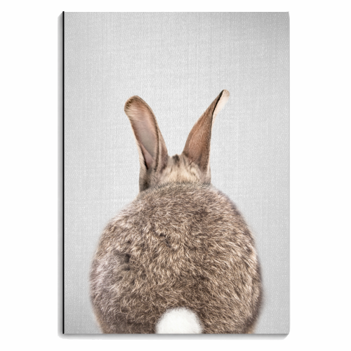 Rabbit Tail - Colorful - personalised A4, A5, A6 notebook by Gal Design