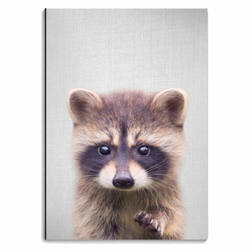 Raccoon - Colorful - personalised A4, A5, A6 notebook by Gal Design