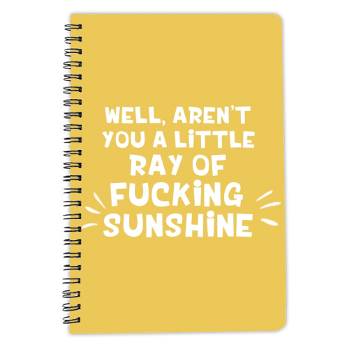 Ray of fucking sunshine funny gift - personalised A4, A5, A6 notebook by Giddy Kipper