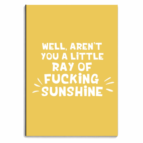 Ray of fucking sunshine funny gift - personalised A4, A5, A6 notebook by Giddy Kipper