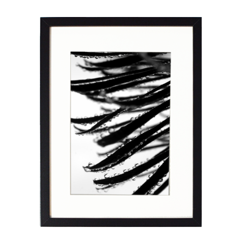 Realms in Glass - framed poster print by Lordt