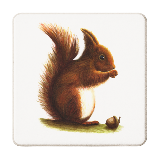 Red Squirrel & Acorn - personalised beer coaster by She Walks She Paints