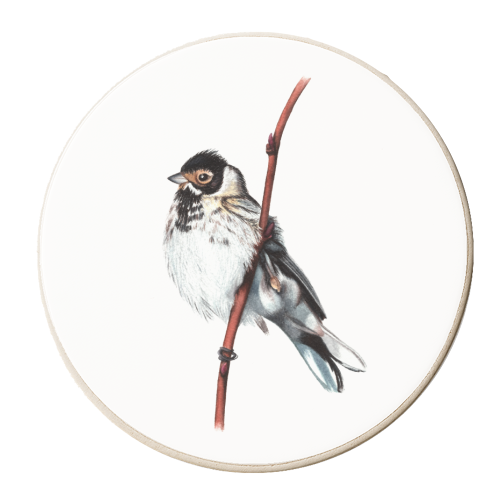 Reed Bunting - personalised beer coaster by She Walks She Paints