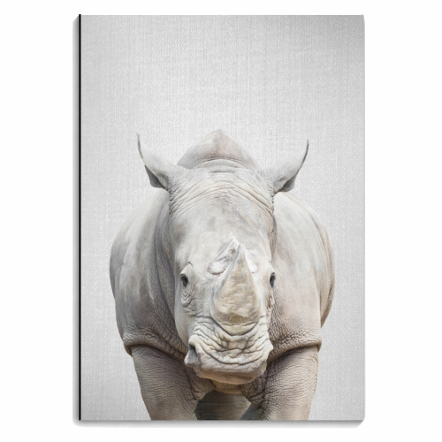Rhino - Colorful - personalised A4, A5, A6 notebook by Gal Design