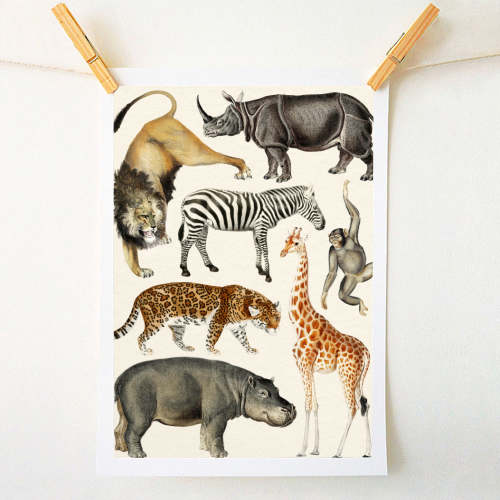 Safari Animals Collection - A1 - A4 art print by Gal Design