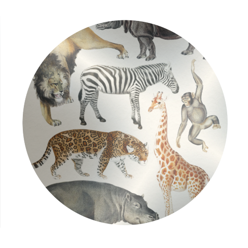 Safari Animals Collection - Circle Sticker by Gal Design