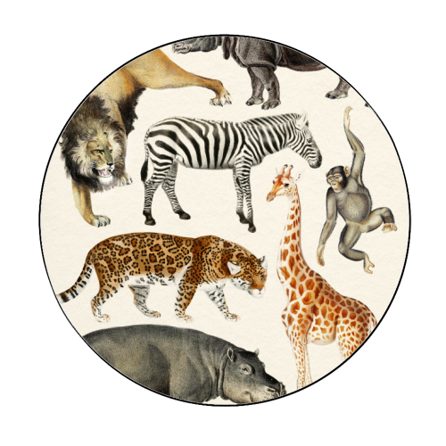 Safari Animals Collection - Circle Sticker by Gal Design