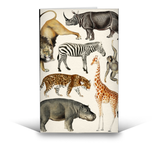 Safari Animals Collection - funny greeting card by Gal Design