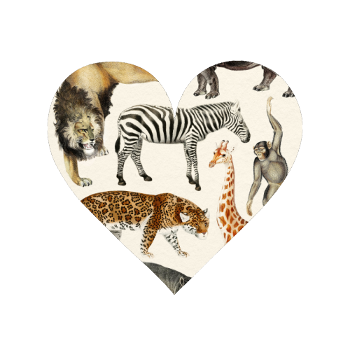 Safari Animals Collection - Magnet by Gal Design