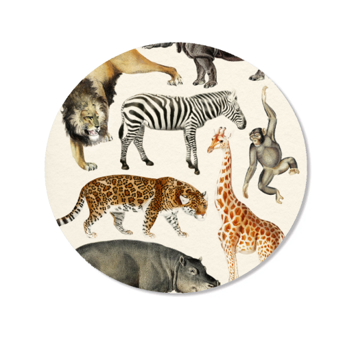 Safari Animals Collection - Magnet by Gal Design
