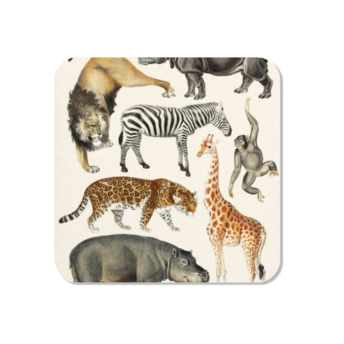 Safari Animals Collection - Magnet by Gal Design