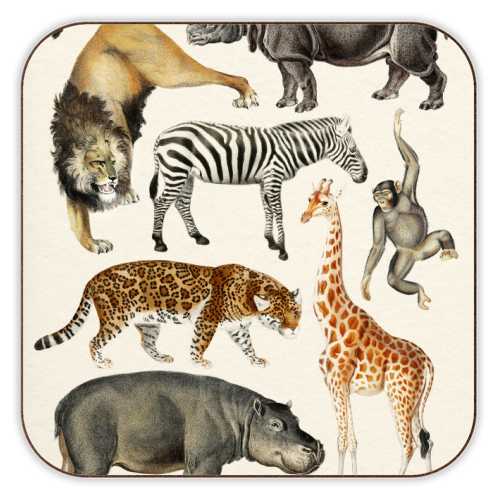 Safari Animals Collection - personalised beer coaster by Gal Design