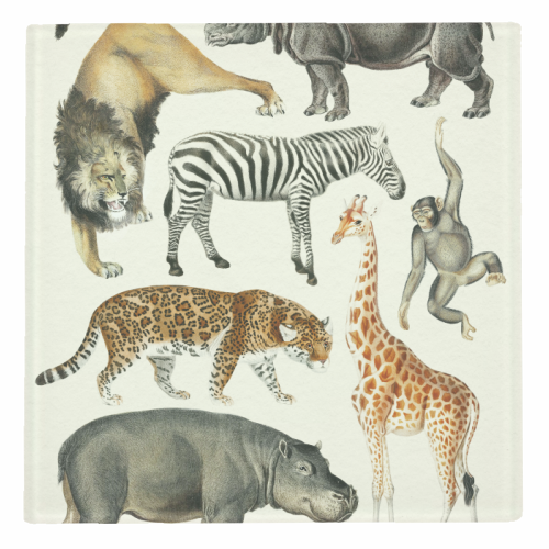 Safari Animals Collection - personalised beer coaster by Gal Design
