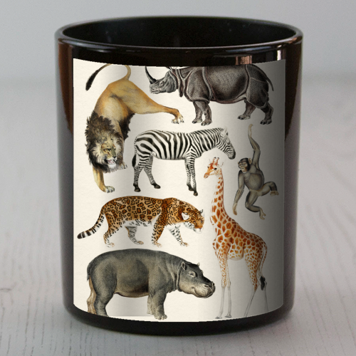 Safari Animals Collection - scented candle by Gal Design