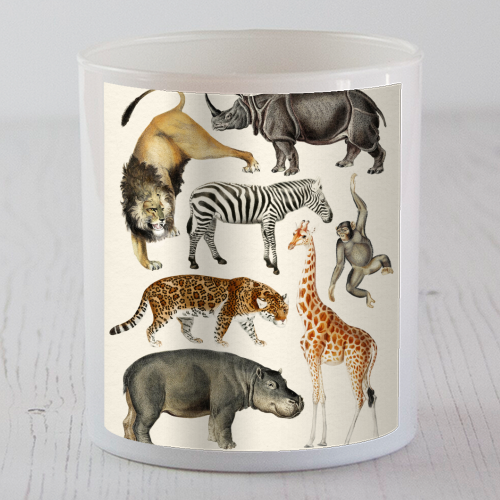 Safari Animals Collection - scented candle by Gal Design