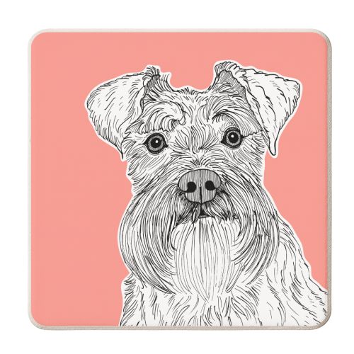 Schnauzer Dog Portrait ( coral background ) - personalised beer coaster by Adam Regester