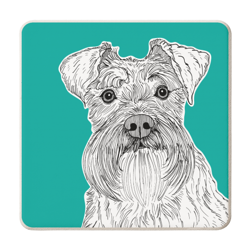 Schnauzer Dog Portrait ( teal background ) - personalised beer coaster by Adam Regester