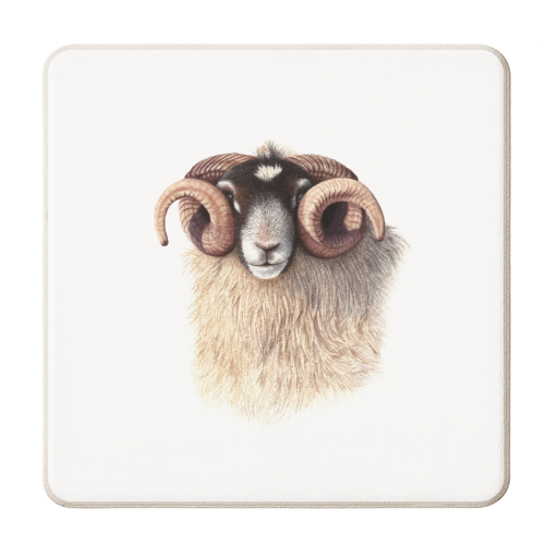 Scottish Blackface Sheep - personalised beer coaster by She Walks She Paints
