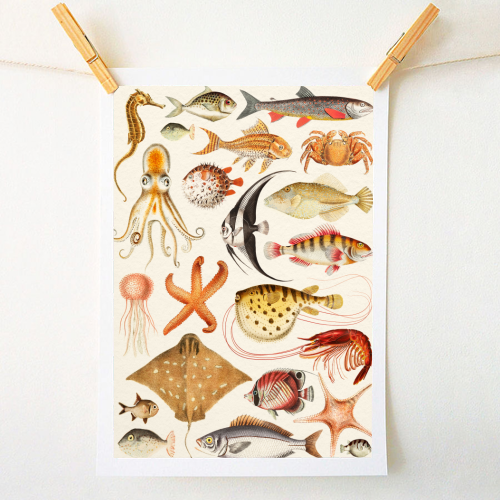 Sea Life Collection - A1 - A4 art print by Gal Design