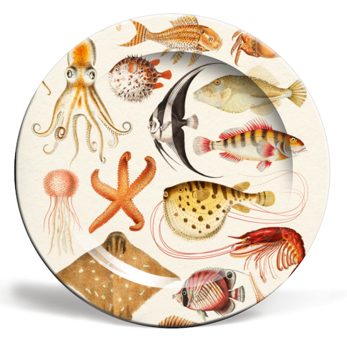 Sea Life Collection - ceramic dinner plate by Gal Design