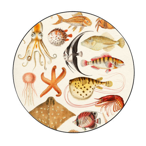 Sea Life Collection - Circle Sticker by Gal Design
