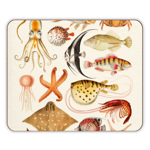 Sea Life Collection - designer placemat by Gal Design