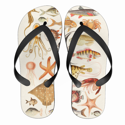 Sea Life Collection - funny flip flops by Gal Design