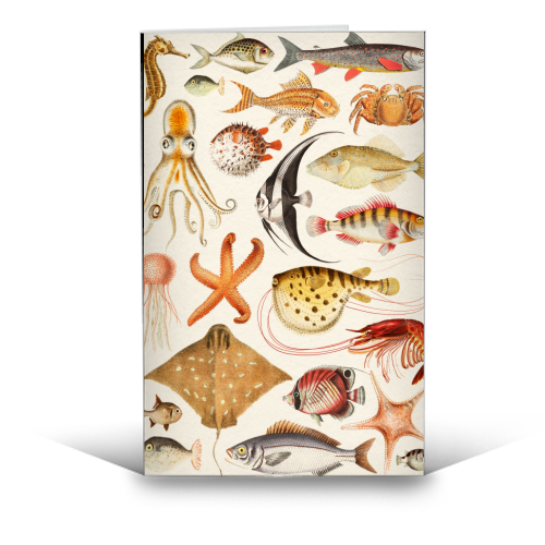 Sea Life Collection - funny greeting card by Gal Design