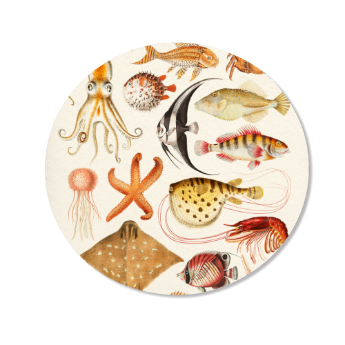 Sea Life Collection - Magnet by Gal Design