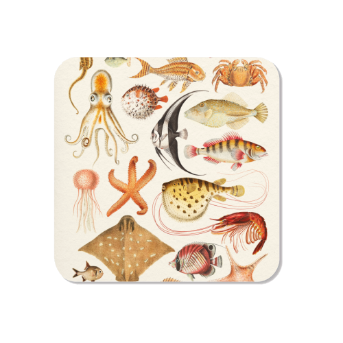 Sea Life Collection - Magnet by Gal Design
