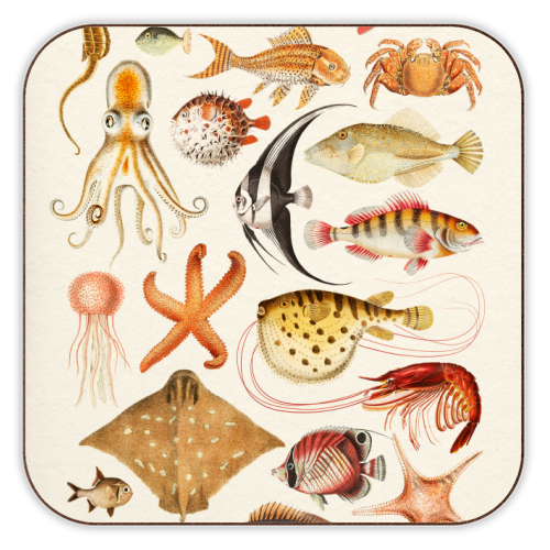 Sea Life Collection - personalised beer coaster by Gal Design