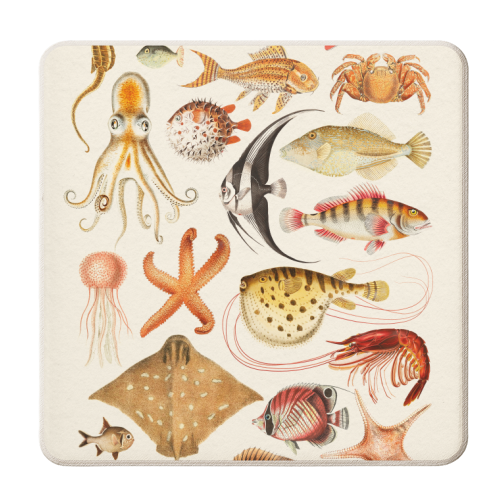 Sea Life Collection - personalised beer coaster by Gal Design