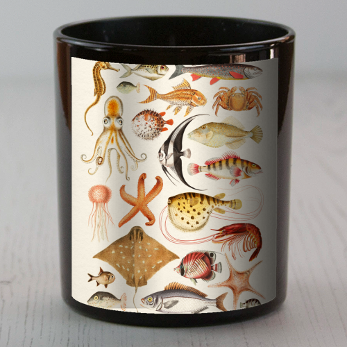 Sea Life Collection - scented candle by Gal Design