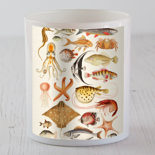Sea Life Collection - scented candle by Gal Design