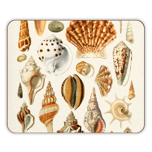 Seashells Collection - designer placemat by Gal Design