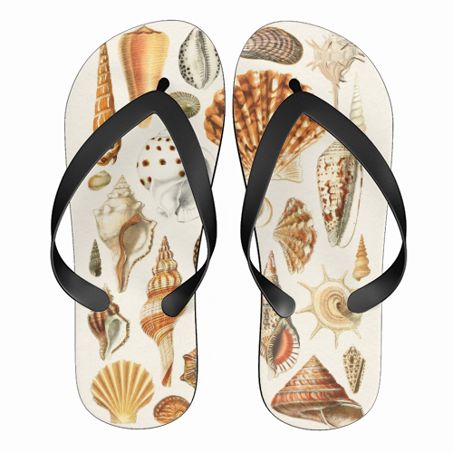 Seashells Collection - funny flip flops by Gal Design