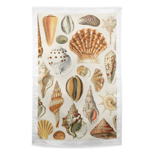 Seashells Collection - funny tea towel by Gal Design