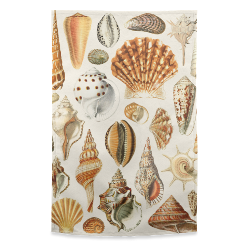 Seashells Collection - funny tea towel by Gal Design