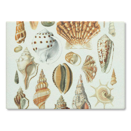 Seashells Collection - glass chopping board by Gal Design