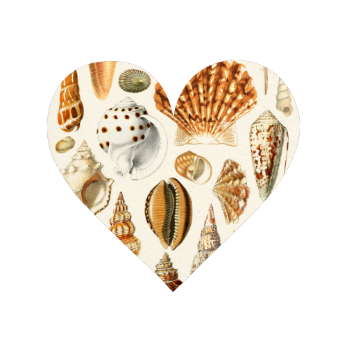 Seashells Collection - Magnet by Gal Design