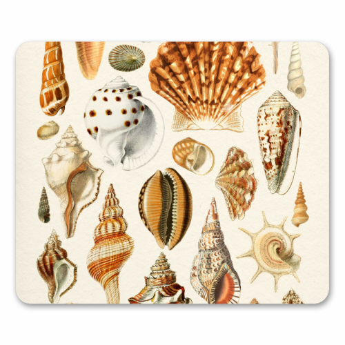 Seashells Collection - mouse mat by Gal Design
