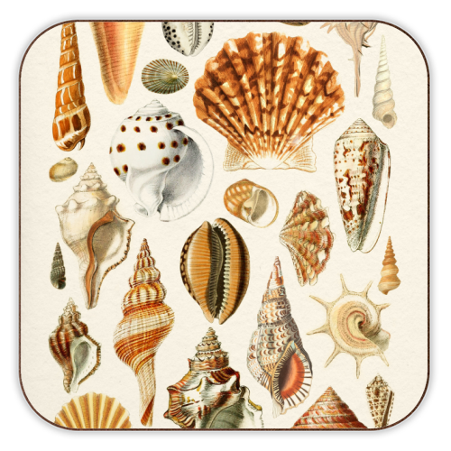Seashells Collection - personalised beer coaster by Gal Design