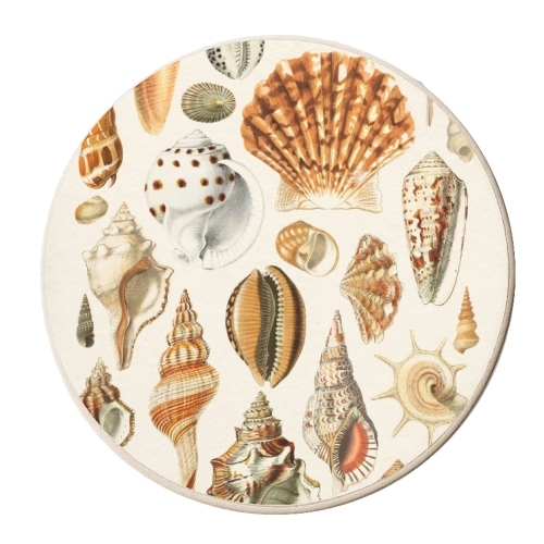 Seashells Collection - personalised beer coaster by Gal Design