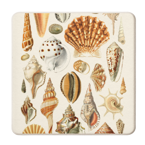 Seashells Collection - personalised beer coaster by Gal Design