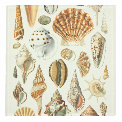 Seashells Collection - personalised beer coaster by Gal Design